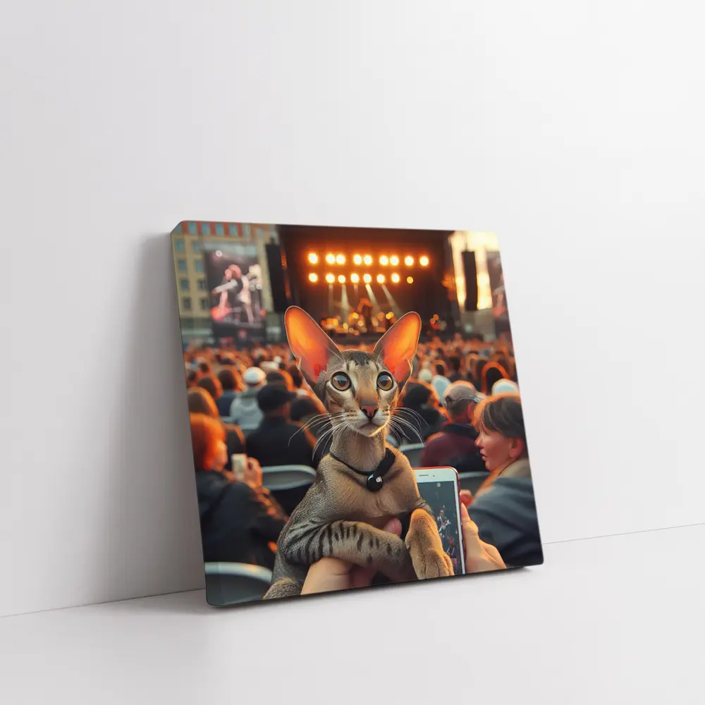 Oriental Shorthair Cat At Outdoor Concert – Wall Art
