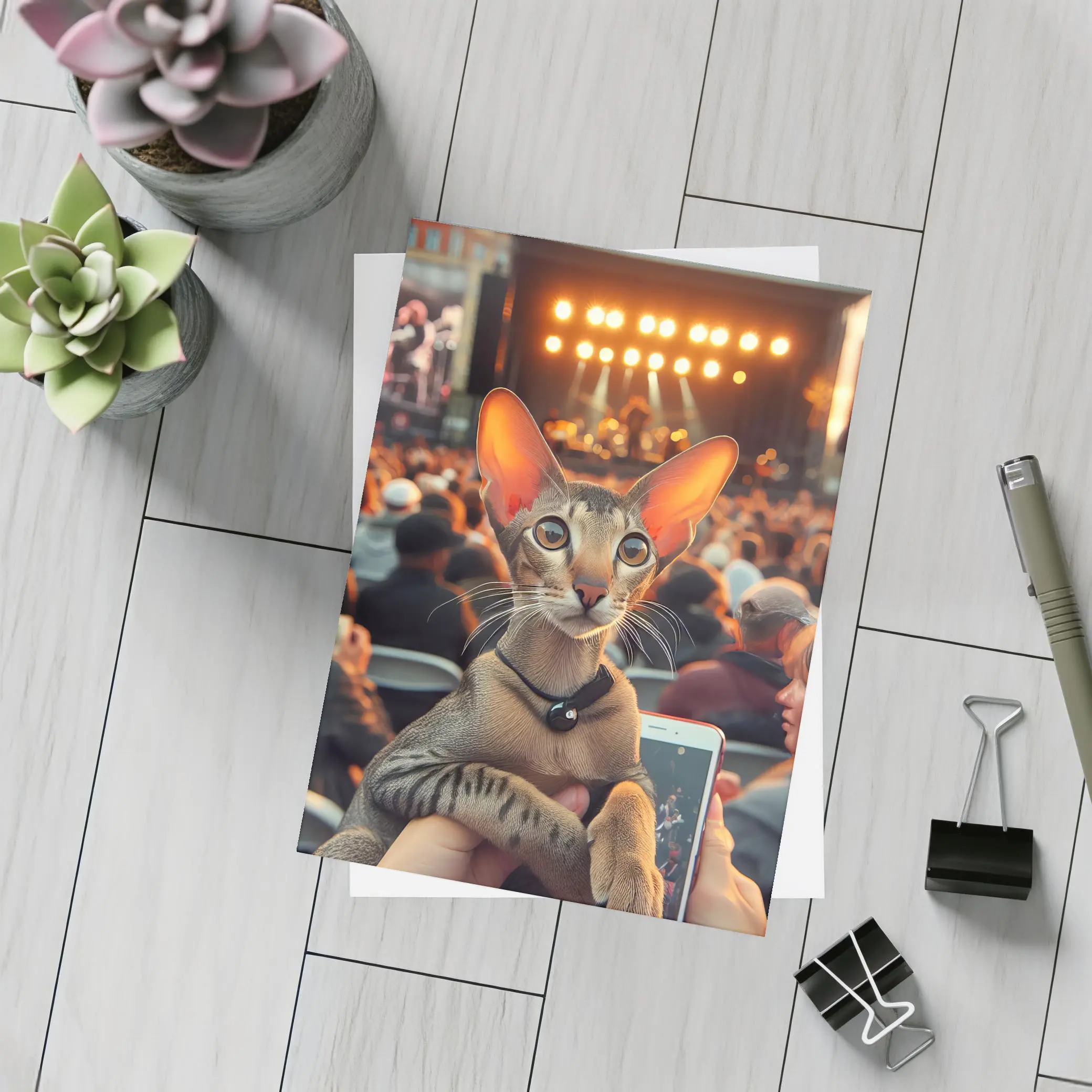 Oriental Shorthair Cat At Outdoor Concert – Postcards