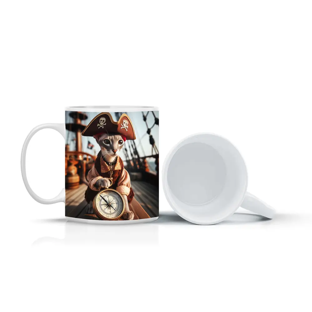 Pirate Cat With Compass On Ship – Mugs