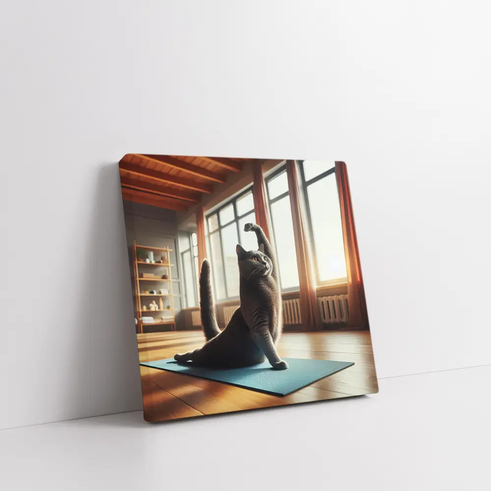 Gray Cat Doing Yoga Sunny Studio – Wall Art