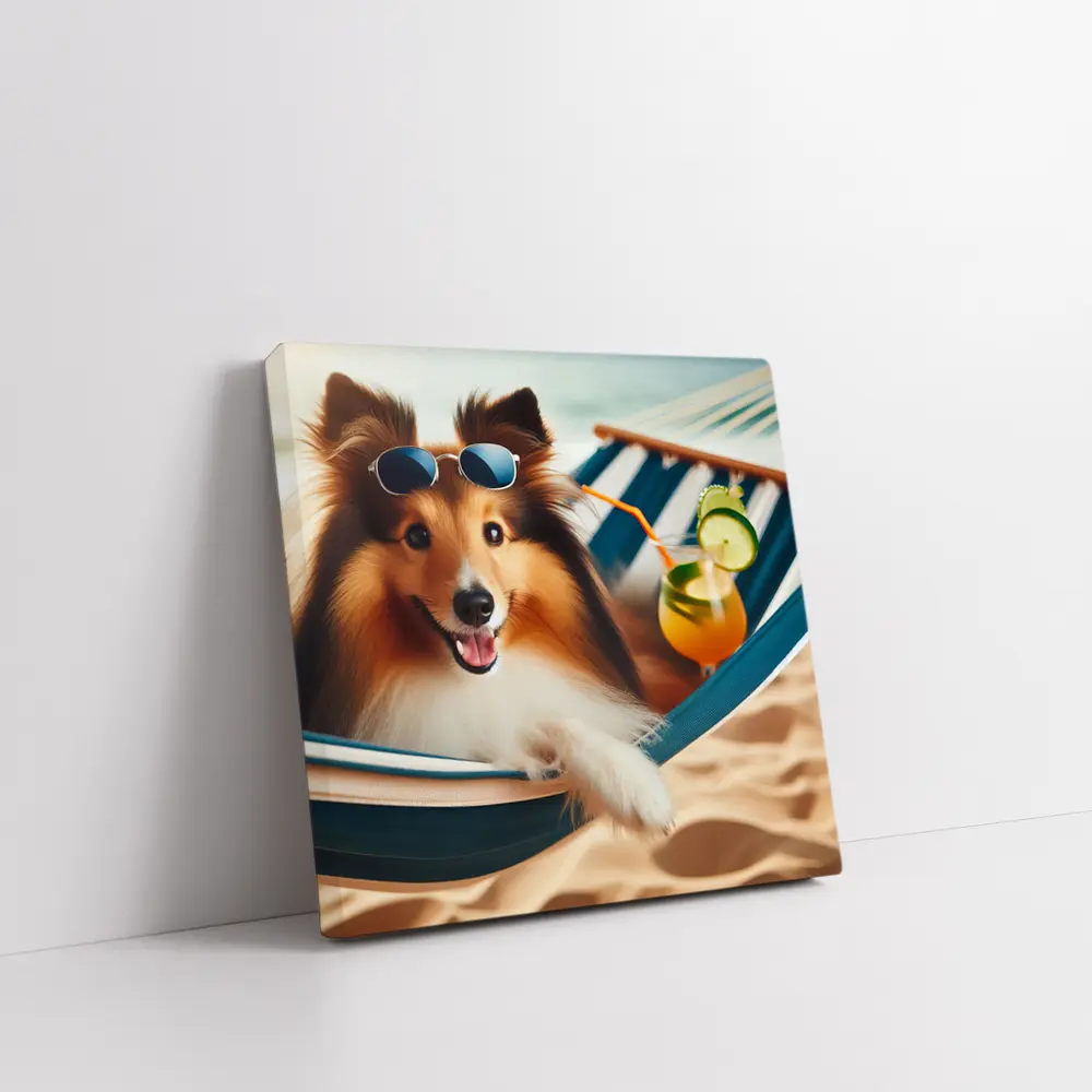 Shetland Sheepdog Relaxing on Beach Hammock – Wall Art