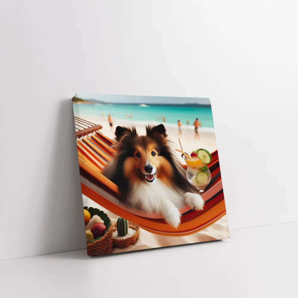 Shetland Sheepdog Relaxing on Beach Hammock – Wall Art