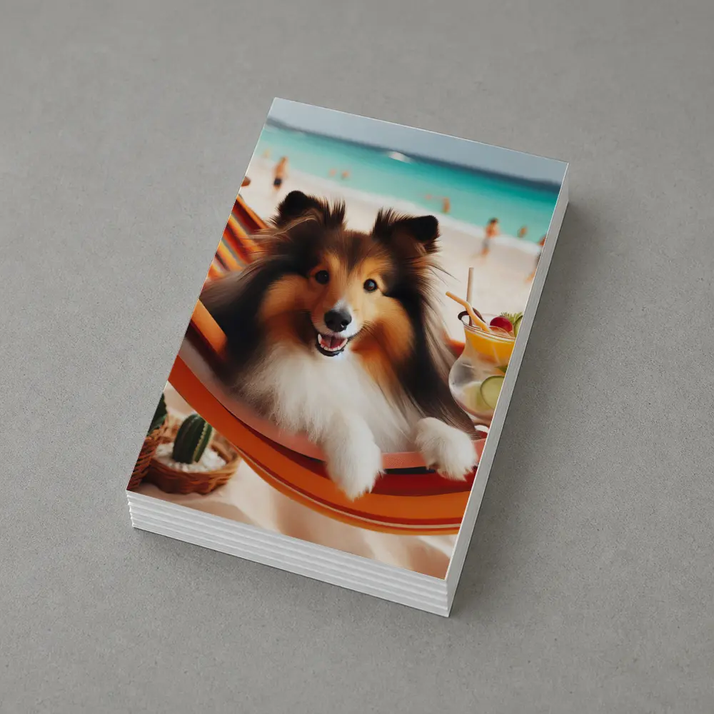 Shetland Sheepdog Relaxing on Beach Hammock – Postcards