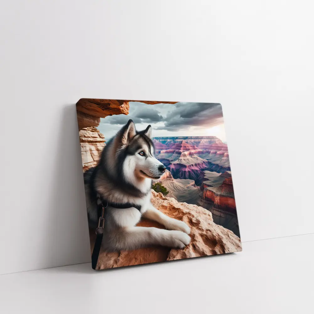 Siberian Husky Resting Grand Canyon Overlook – Wall Art