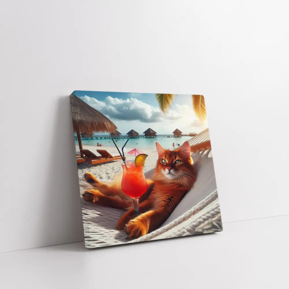 Somali Cat Relaxing on Beach Hammock – Wall Art