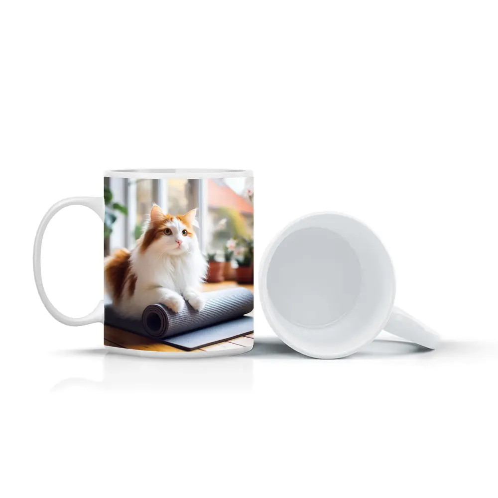 Fluffy Cat Resting on Yoga Mat – Mugs