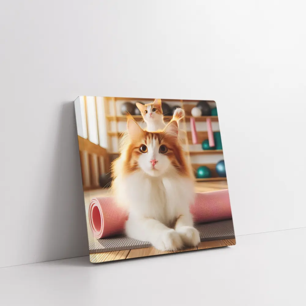 Fluffy Orange Cat Yoga Studio Workout – Wall Art