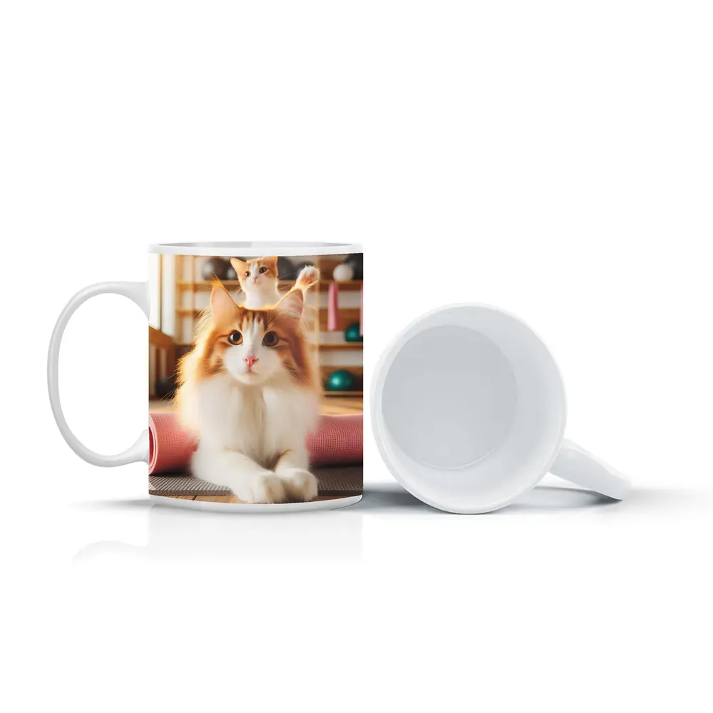 Fluffy Orange Cat Yoga Studio Workout – Mugs