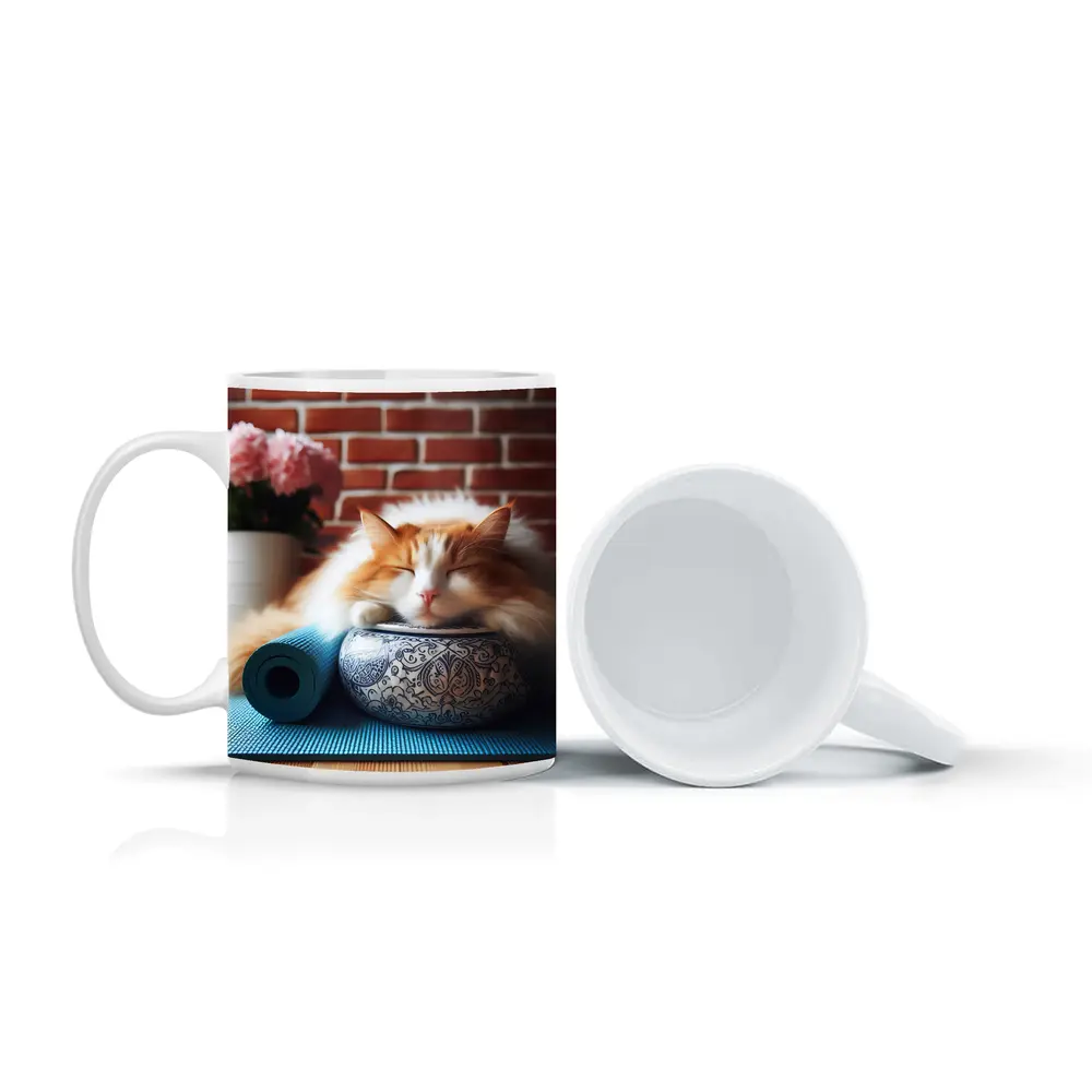 Sleeping Orange Cat Yoga Mat Brick Wall – Mugs