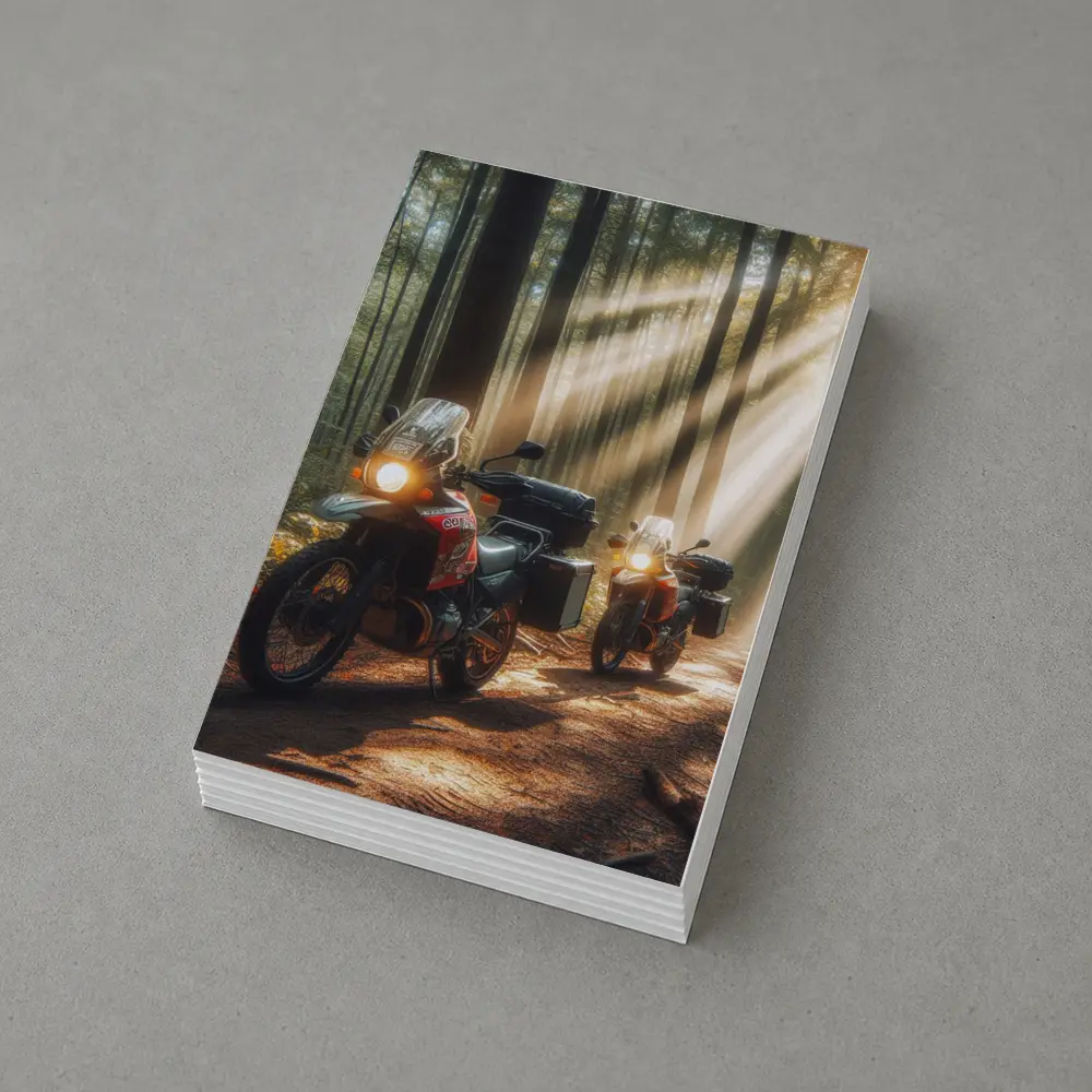 Adventure Dual Sport Bikes Sunlit Forest – Postcards