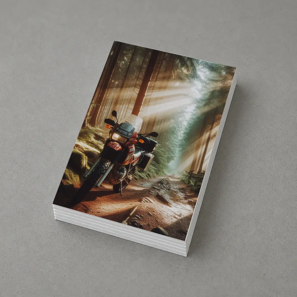 Adventure Dual Sport Bike Forest Sunrays – Postcards