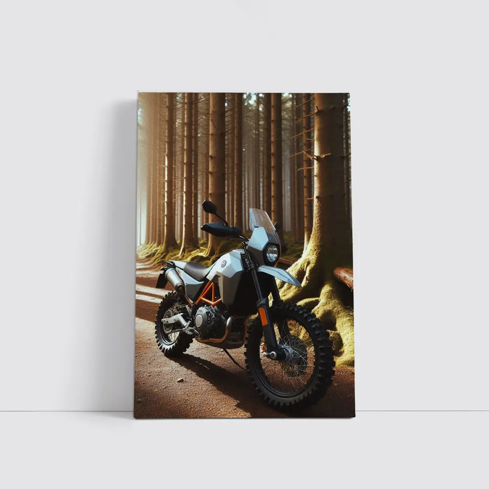 Adventure Dual Sport Bike Forest Trail Sunlight – Wall Art