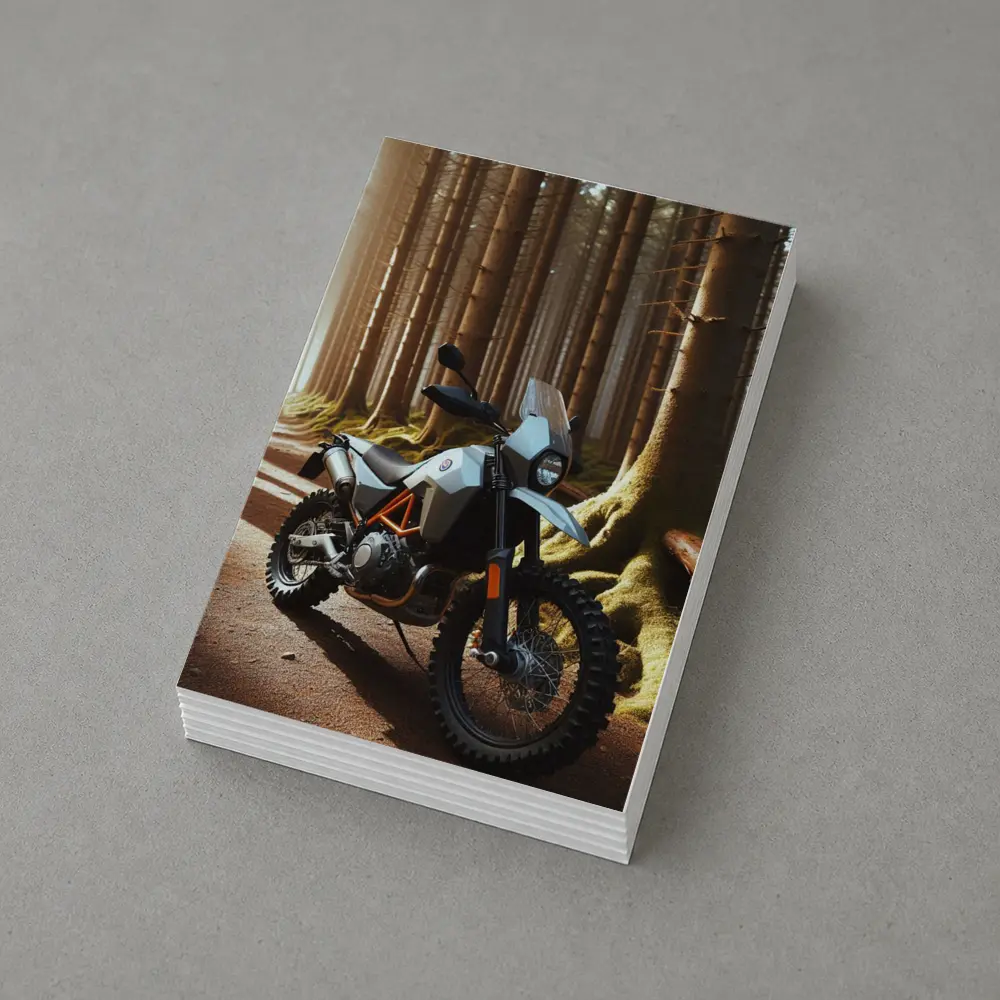 Adventure Dual Sport Bike Forest Trail Sunlight – Postcards