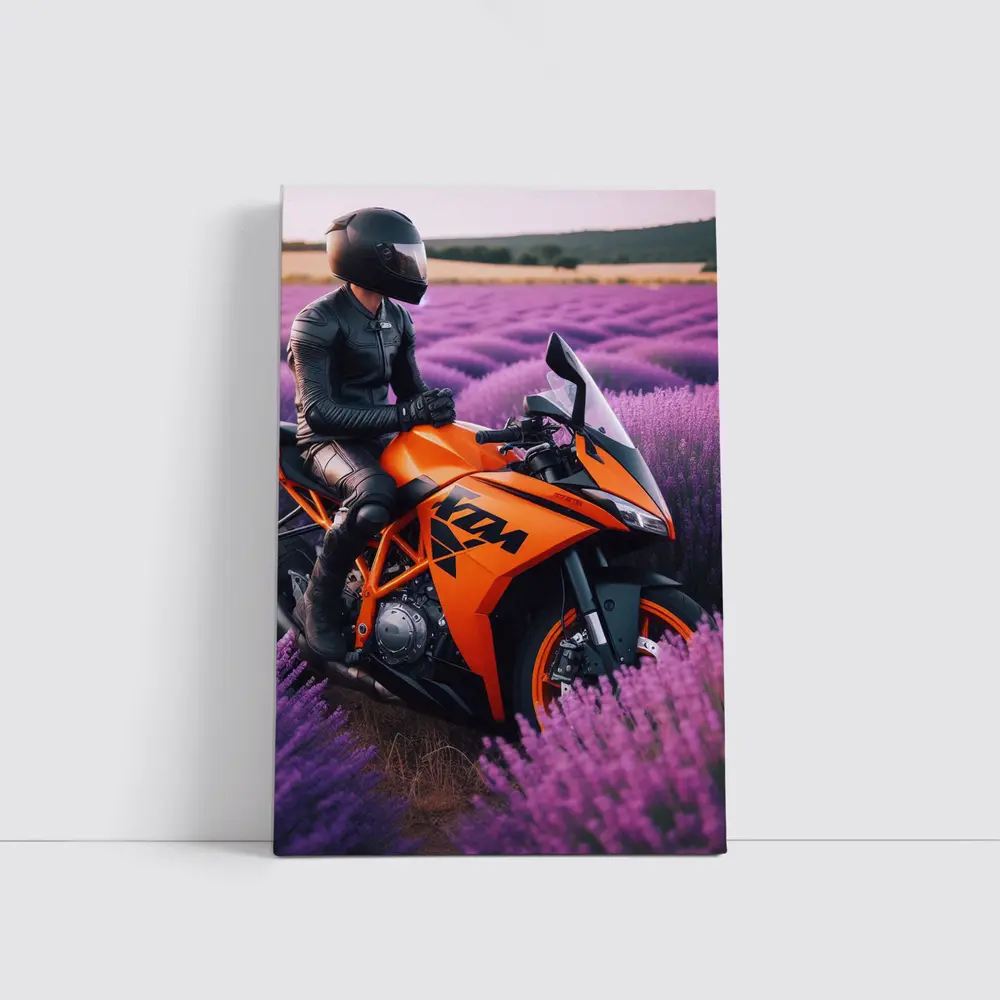 KTM Sport Bike Rider Lavender Field – Wall Art