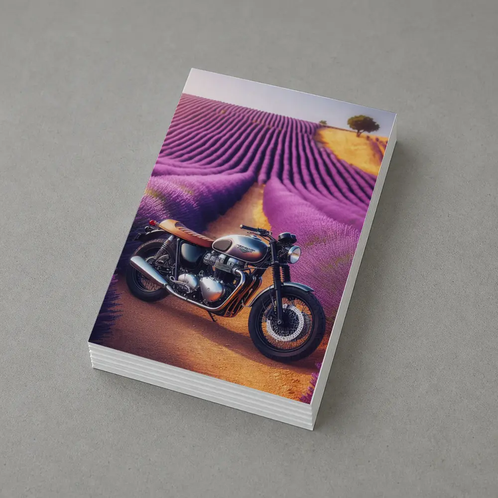 Triumph Motorcycle Parked In Lavender Fields – Postcards