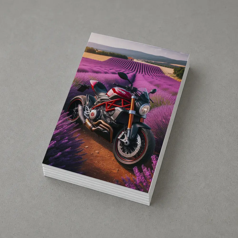 Ducati Monster Red Naked Bike Lavender Fields – Postcards