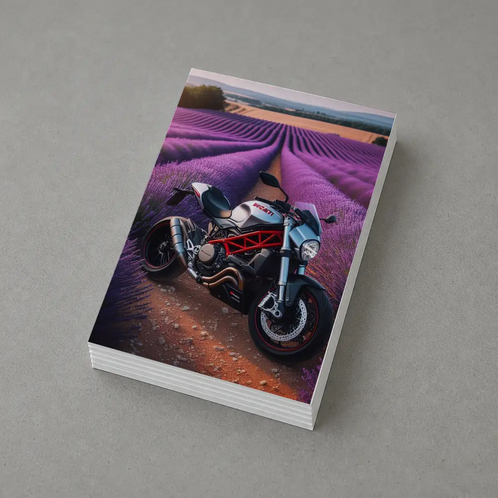 Ducati Monster Motorcycle Lavender Field Background – Postcards
