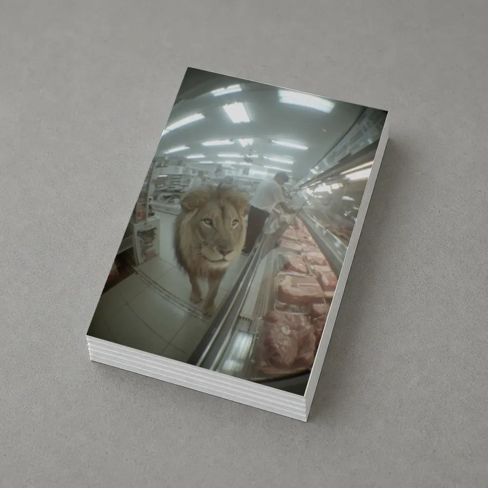 Lion Walking Through Supermarket Meat Aisle – Postcards