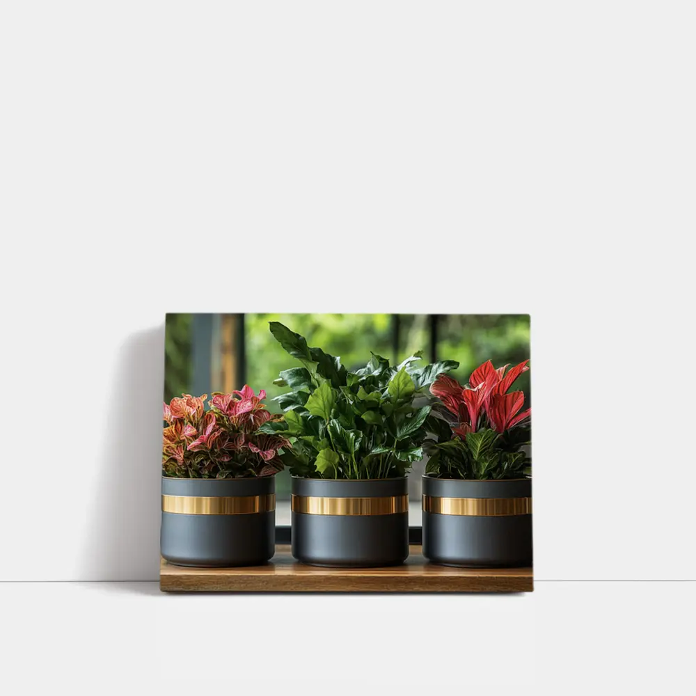 Dark Matte Pots Gold Band Indoor Plants – Wall Art