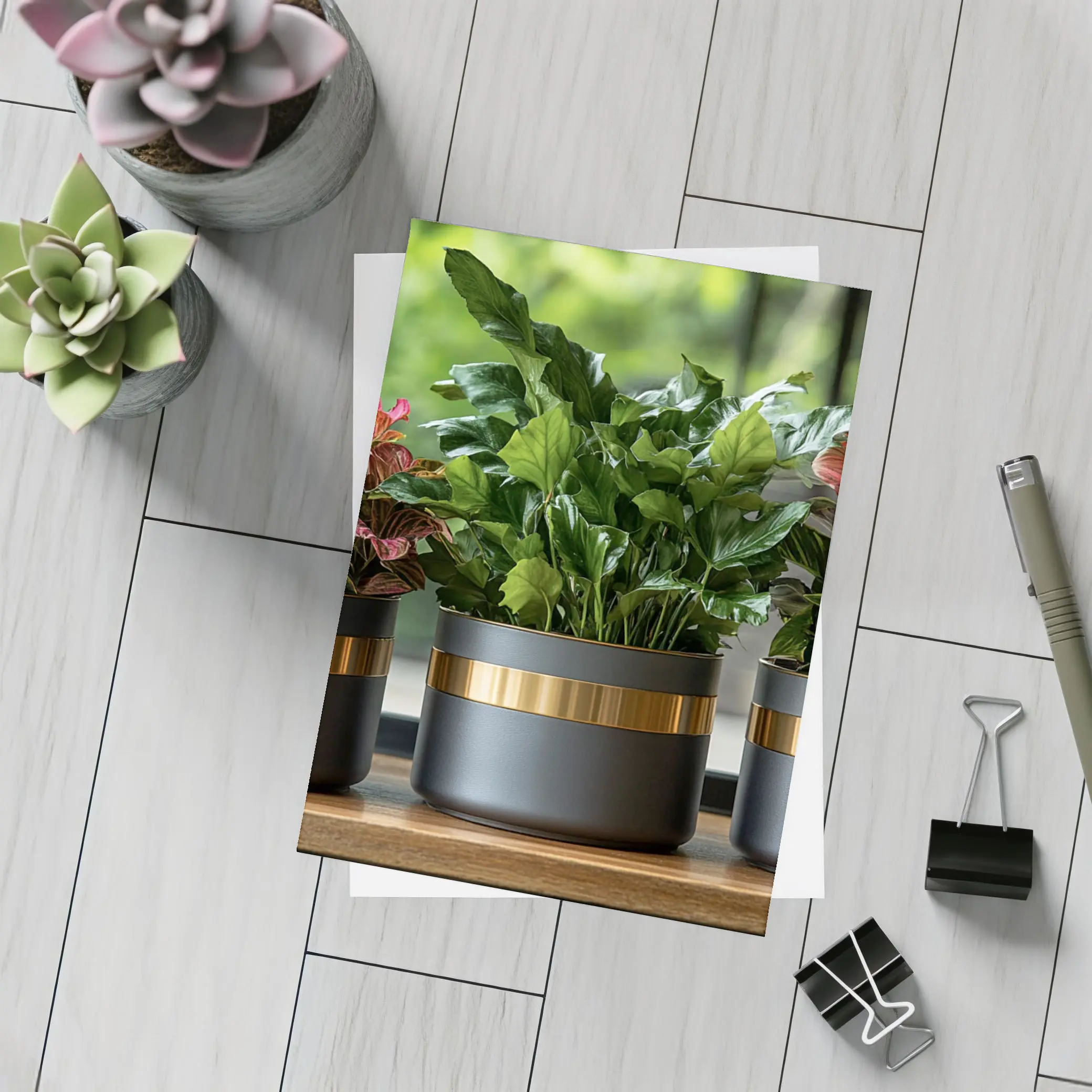 Dark Matte Pots Gold Band Indoor Plants – Postcards