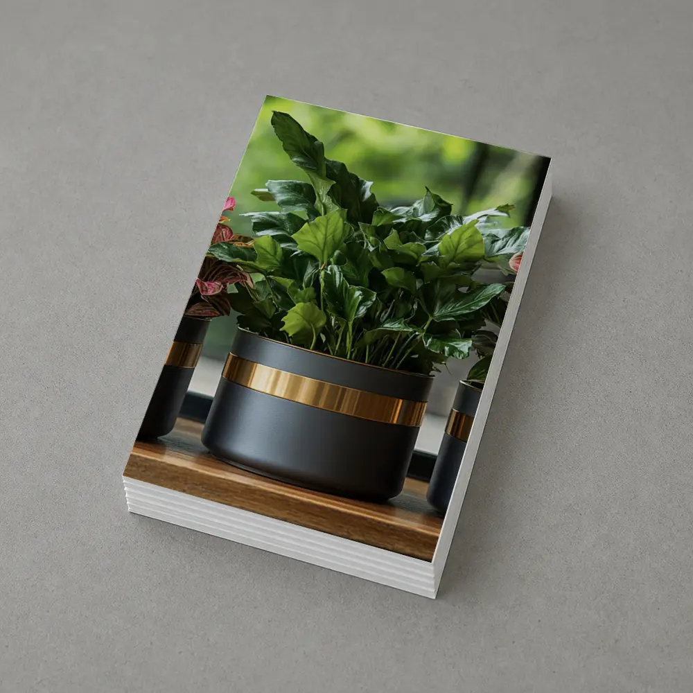 Dark Matte Pots Gold Band Indoor Plants – Postcards