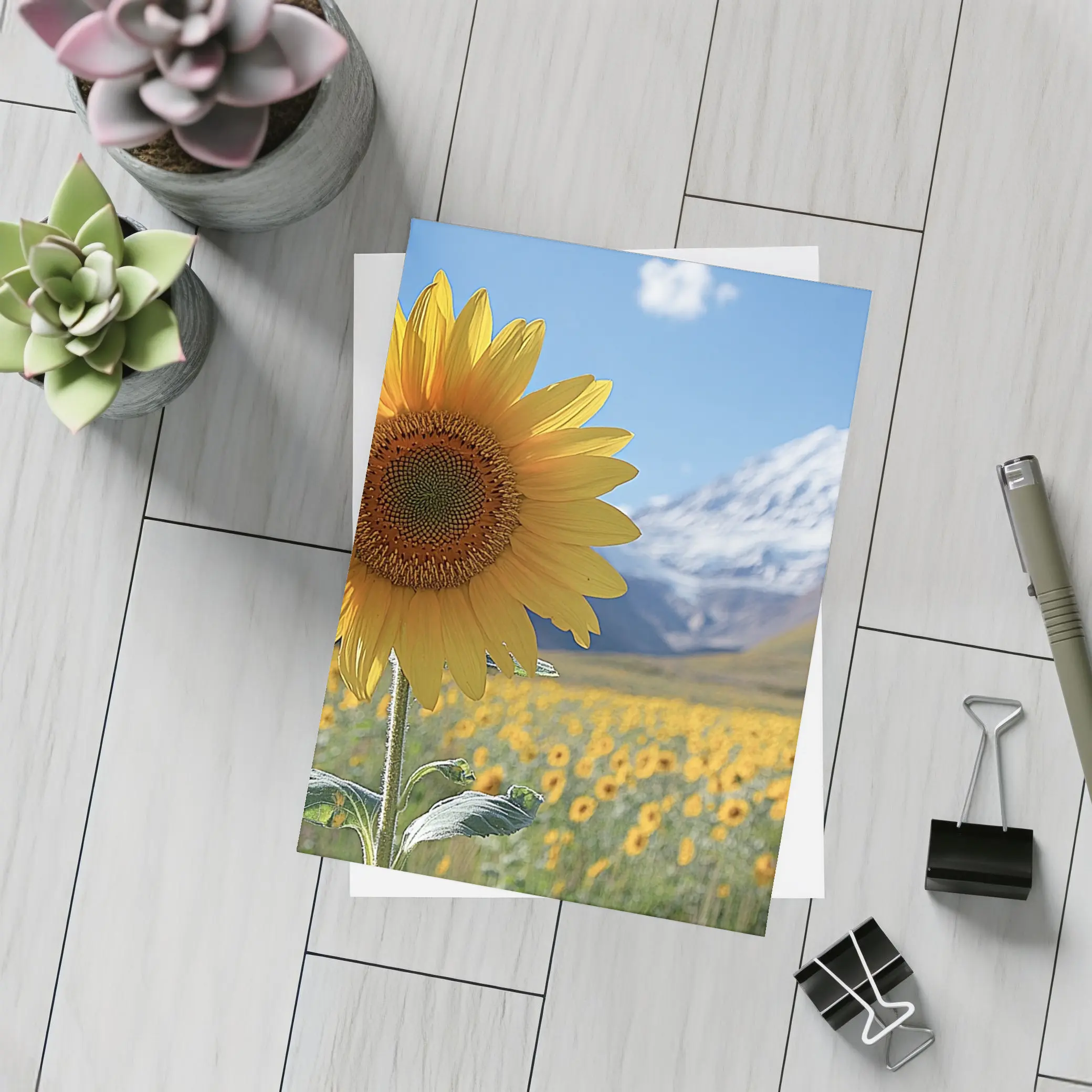 Sunflower Field Snow Mountain Blue Sky – Postcards