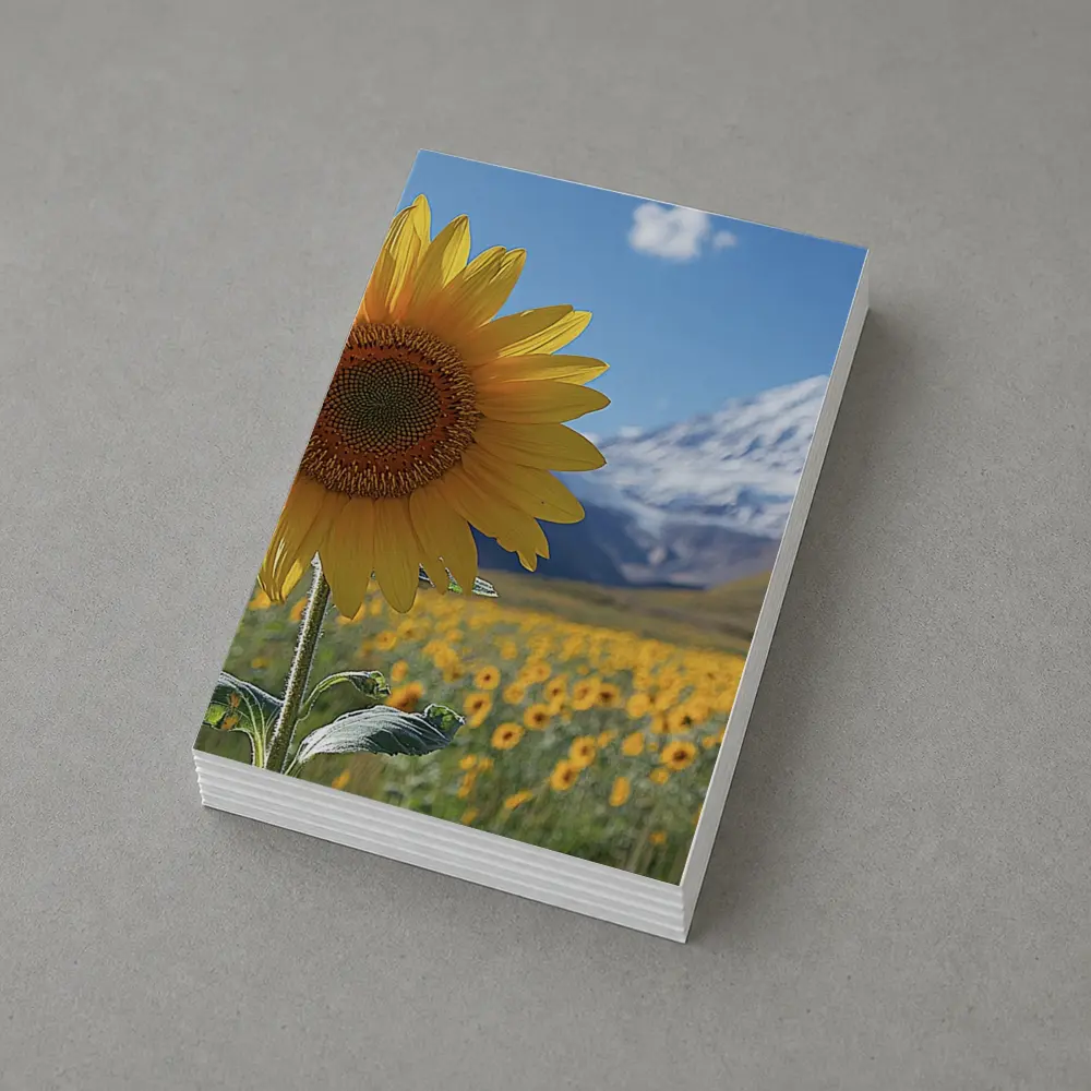 Sunflower Field Snow Mountain Blue Sky – Postcards