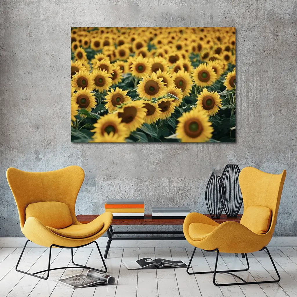 Sunflower Field Yellow Blooms Summer Landscape – Wall Art