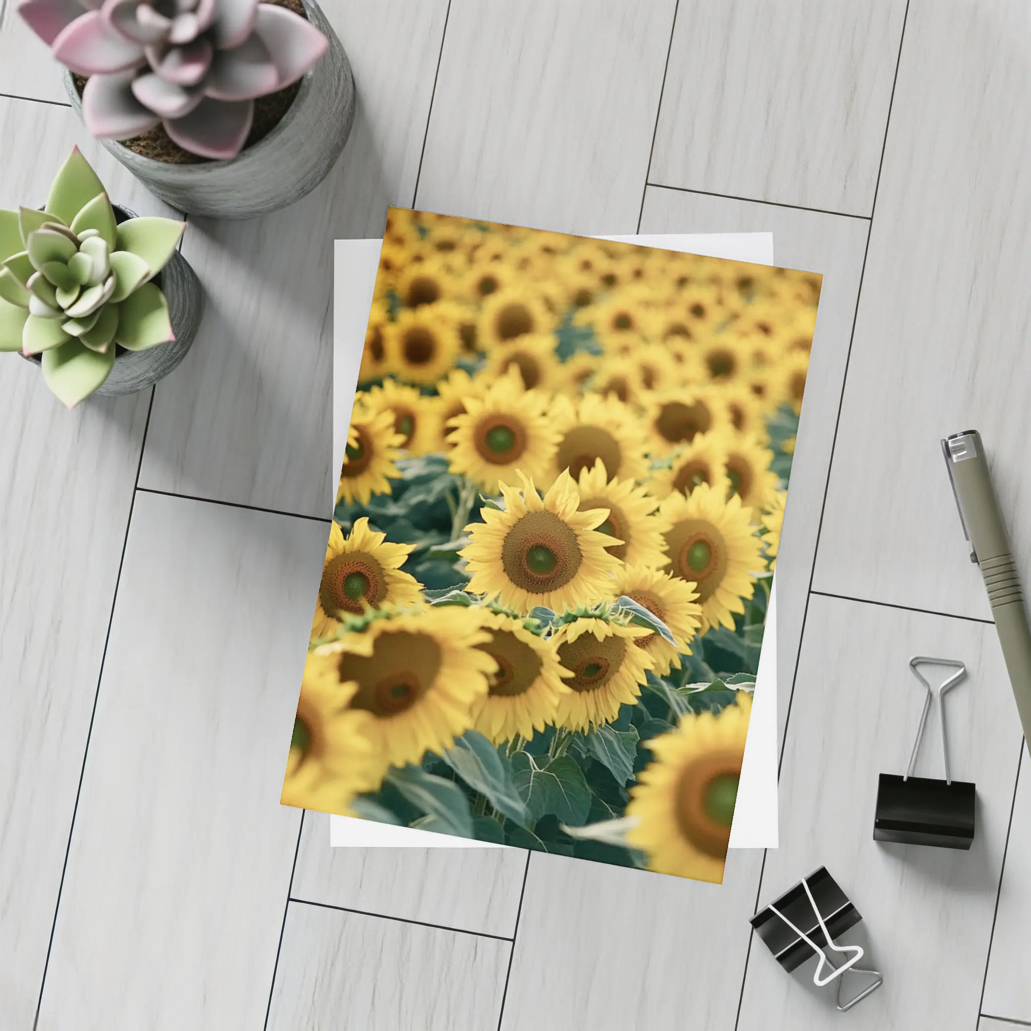 Sunflower Field Yellow Blooms Summer Landscape – Postcards