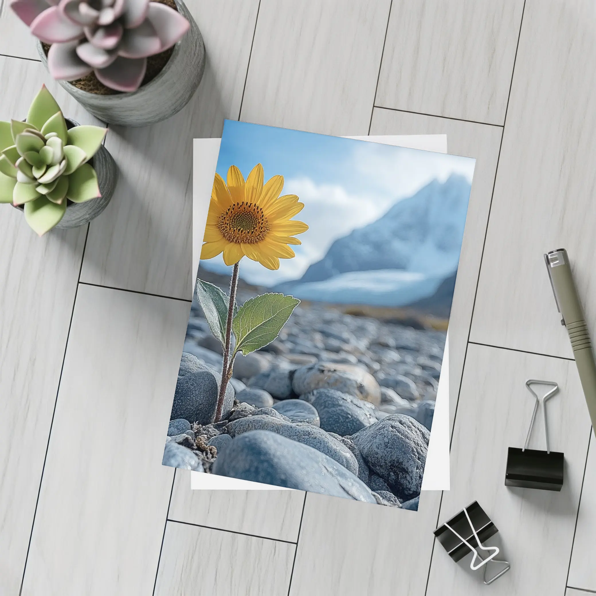 Sunflower Growing Rocky Mountain Glacier Landscape – Postcards