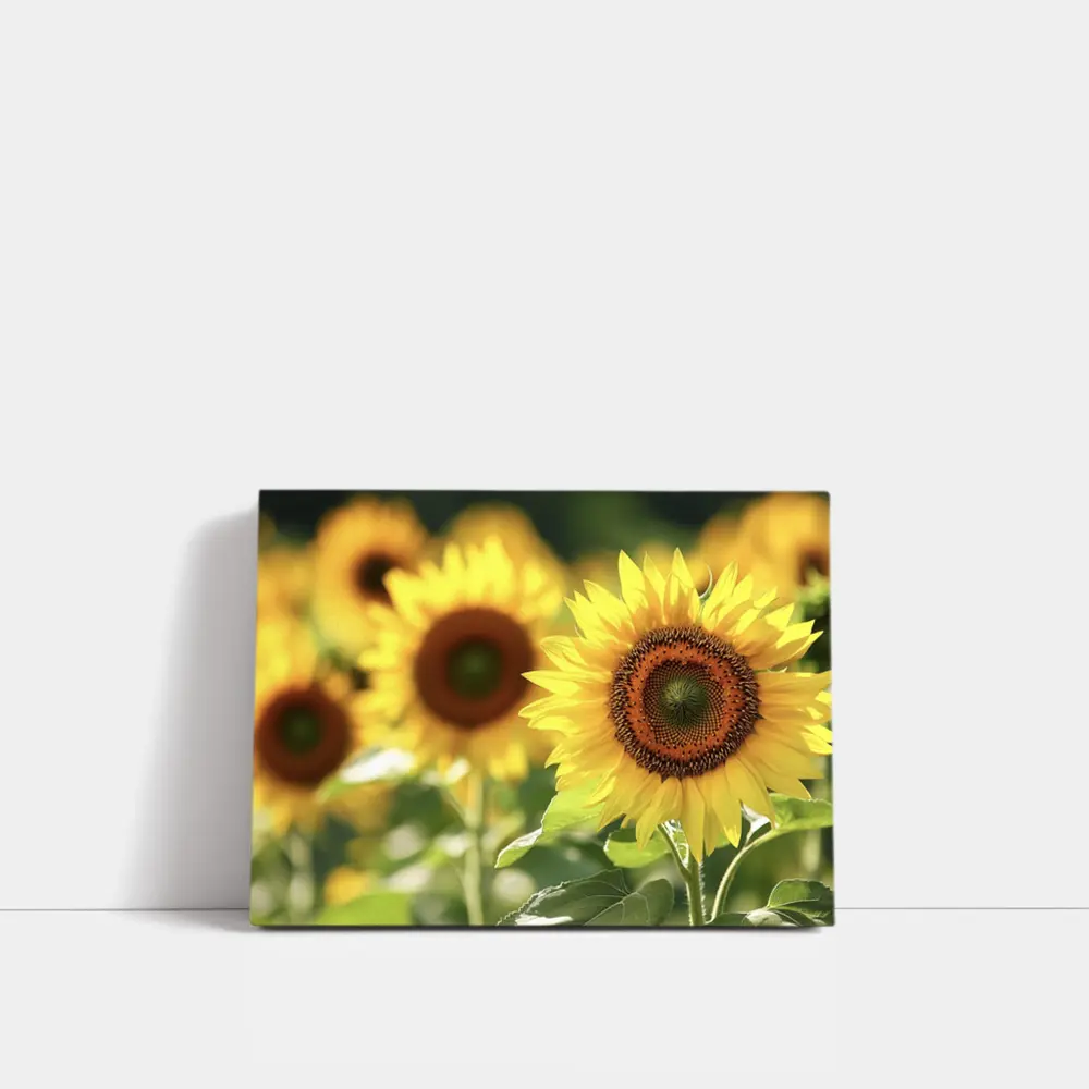 Sunflower Field Close Up Yellow Blooms – Wall Art