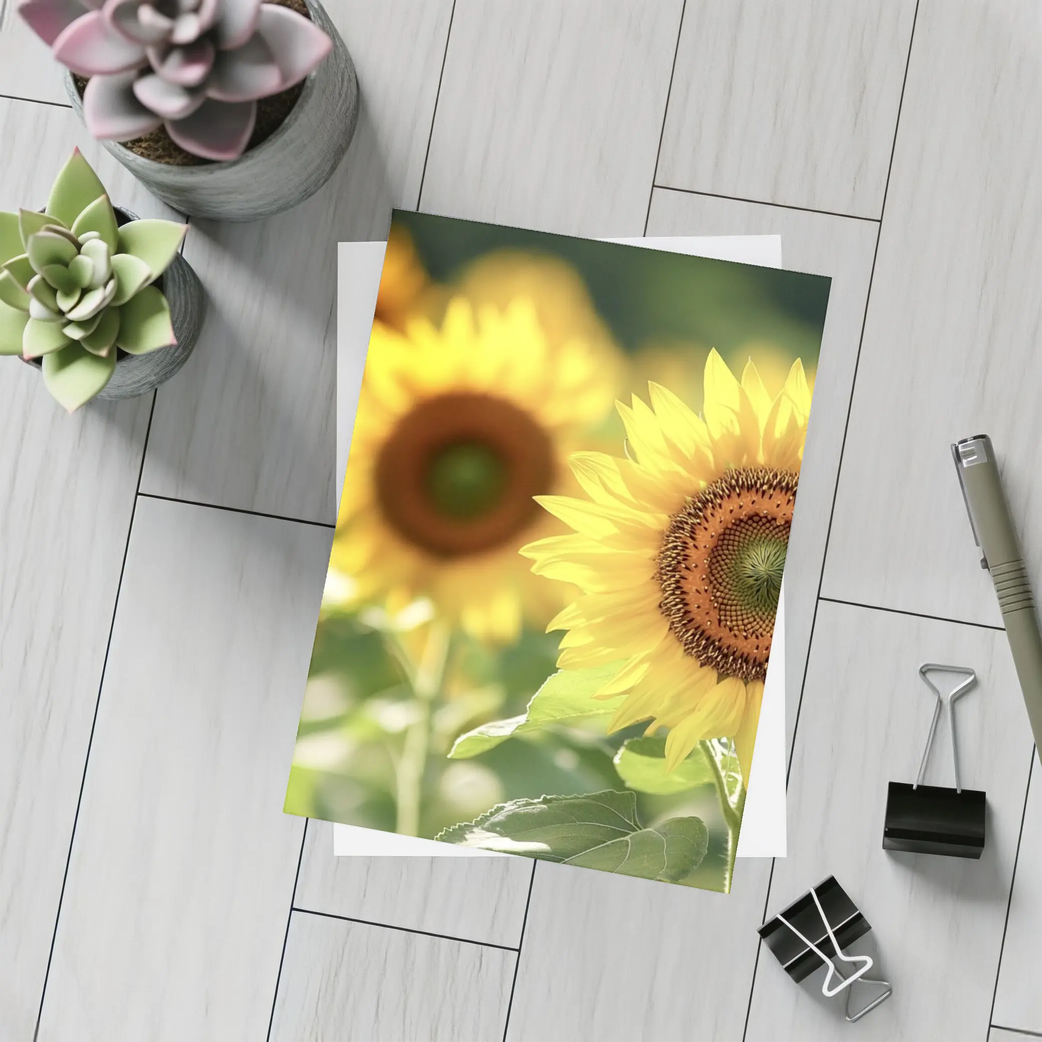 Sunflower Field Close Up Yellow Blooms – Postcards