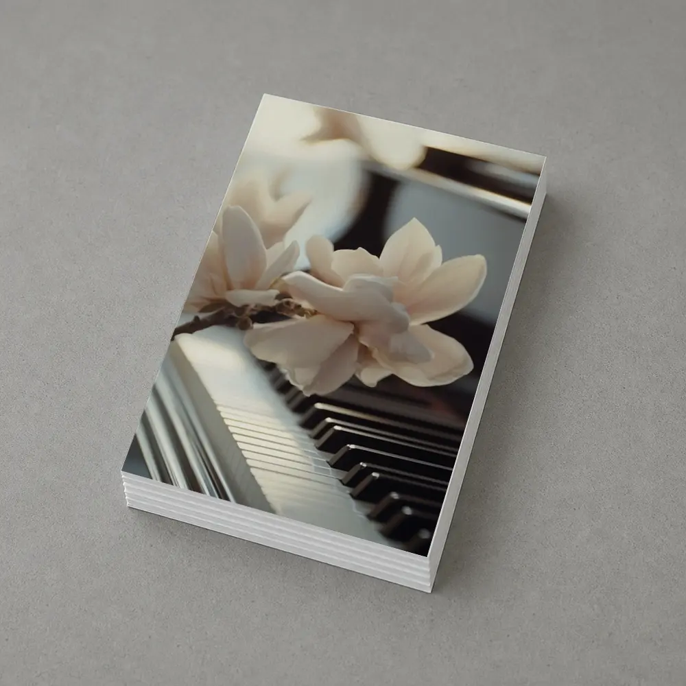 Magnolia Branch Resting On Grand Piano Keys – Postcards