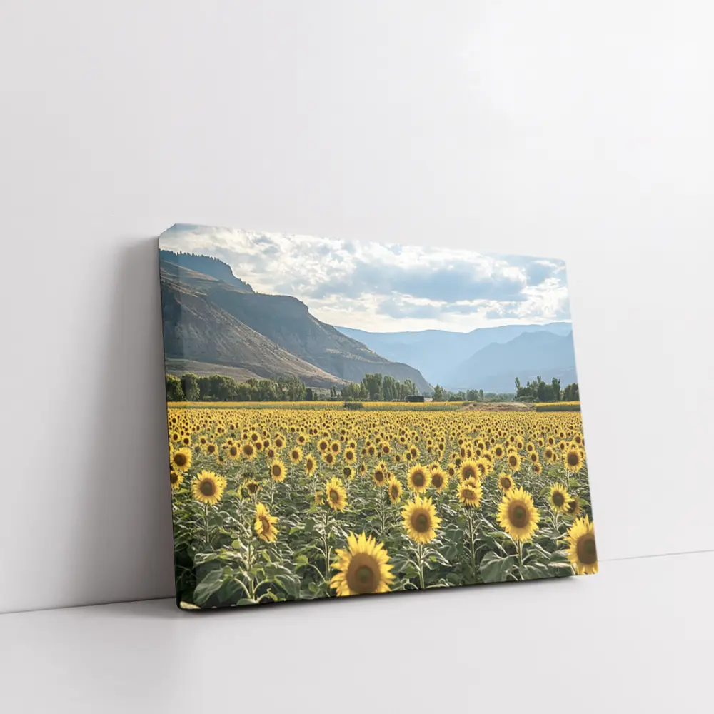 Sunflower Field With Mountain Valley Background – Wall Art