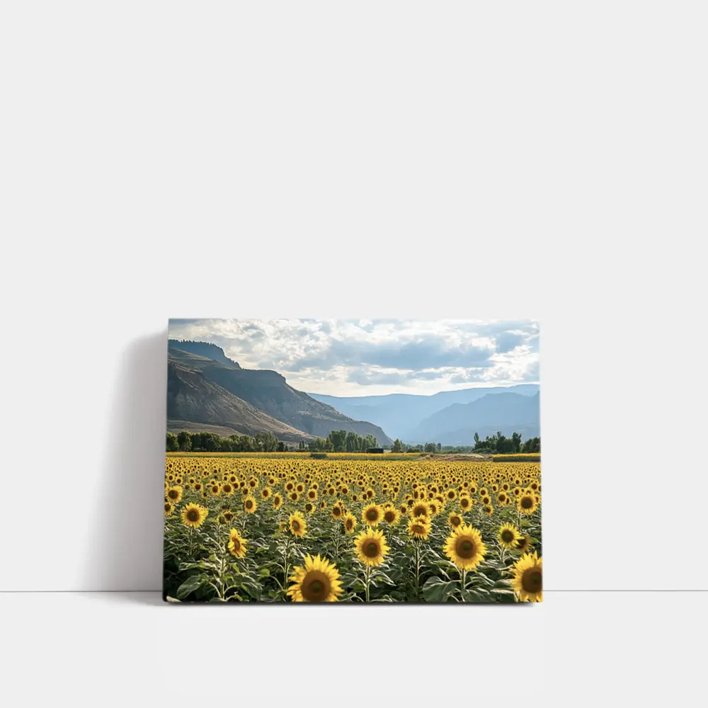 Sunflower Field With Mountain Valley Background – Wall Art