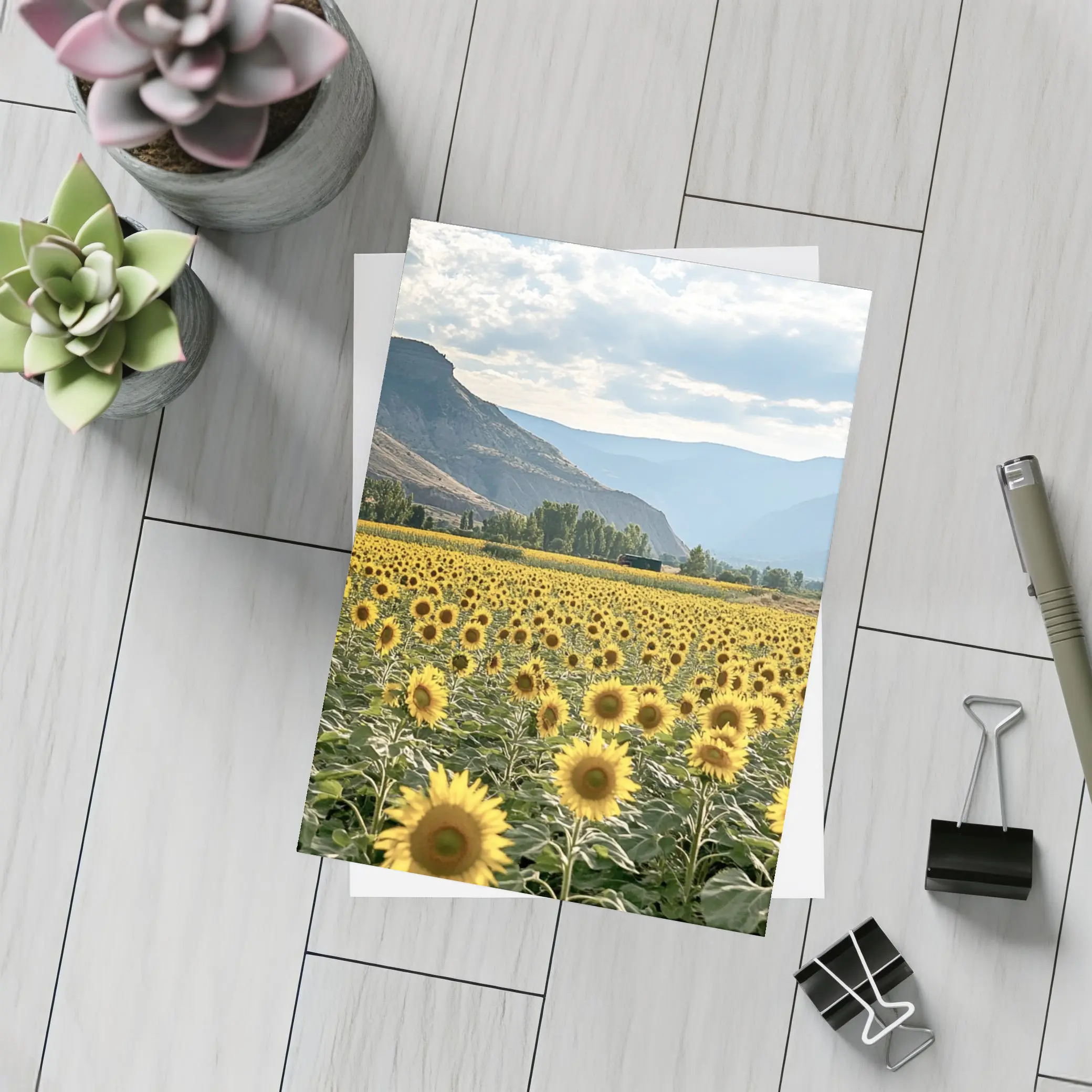 Sunflower Field With Mountain Valley Background – Postcards