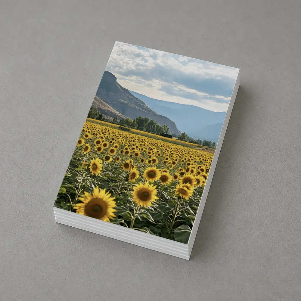 Sunflower Field With Mountain Valley Background – Postcards