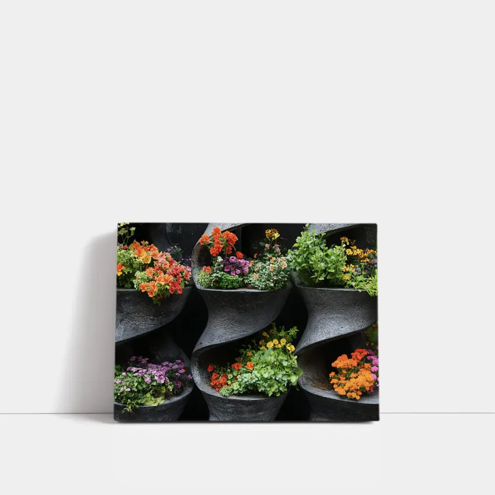 Colorful Flowers In Dark Spiral Wall Planters – Wall Art