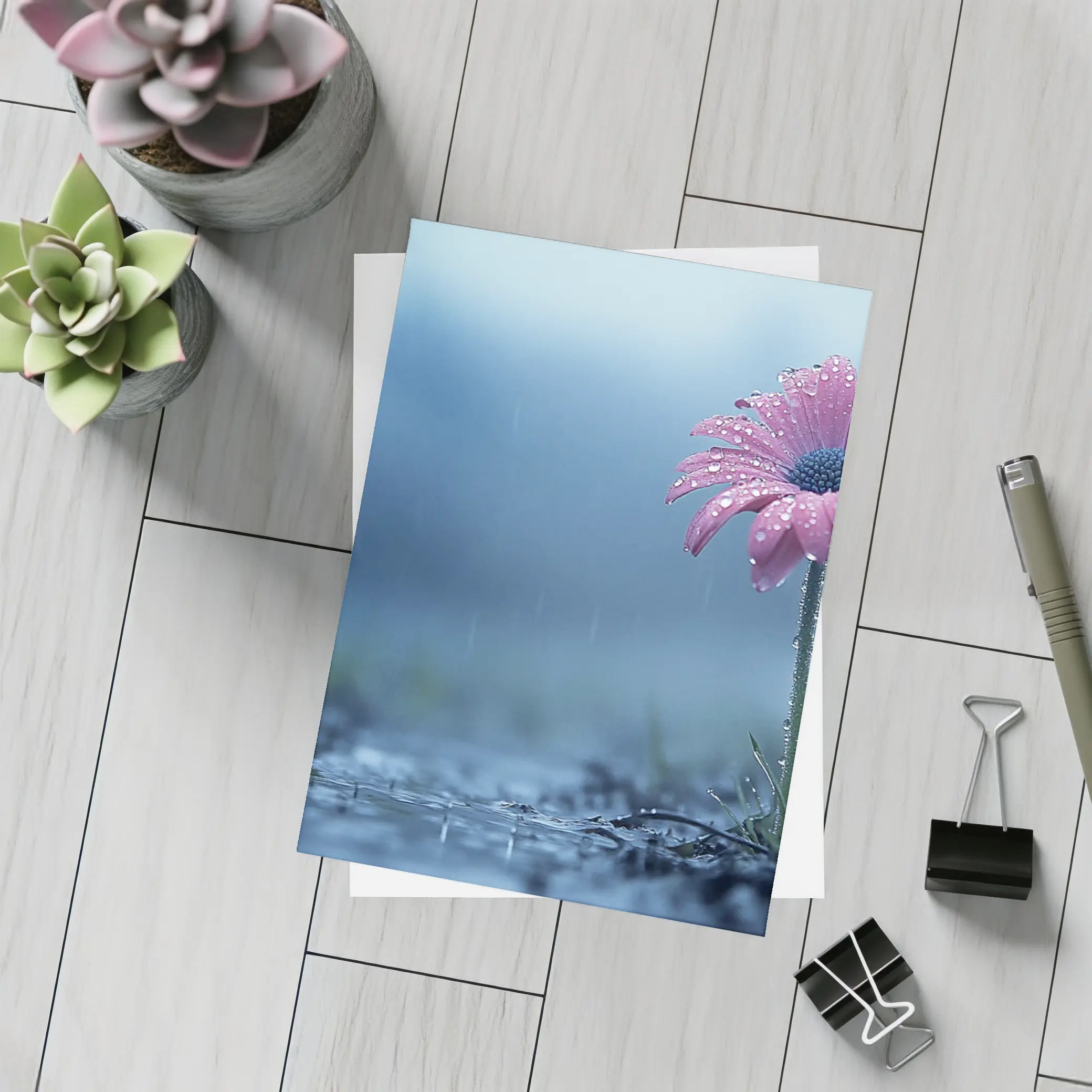 Pink Gerbera Daisy Flower Rain Blue Background – Postcards