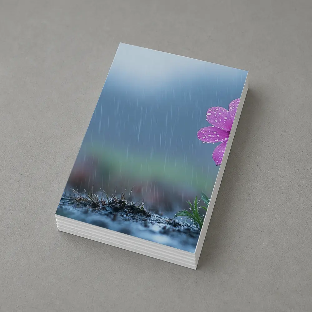 Pink Cosmos Flower Standing in Heavy Rain – Postcards