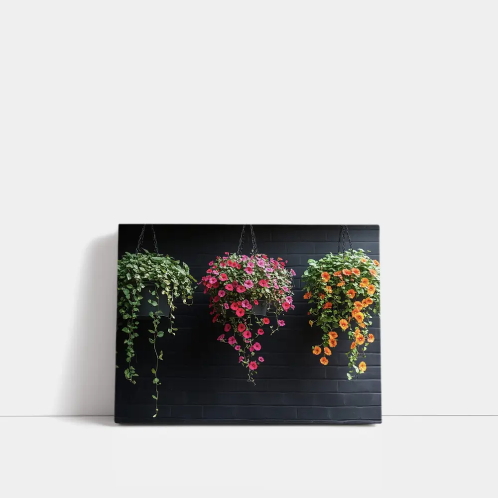 Hanging Petunia Baskets Against Dark Brick Wall – Wall Art