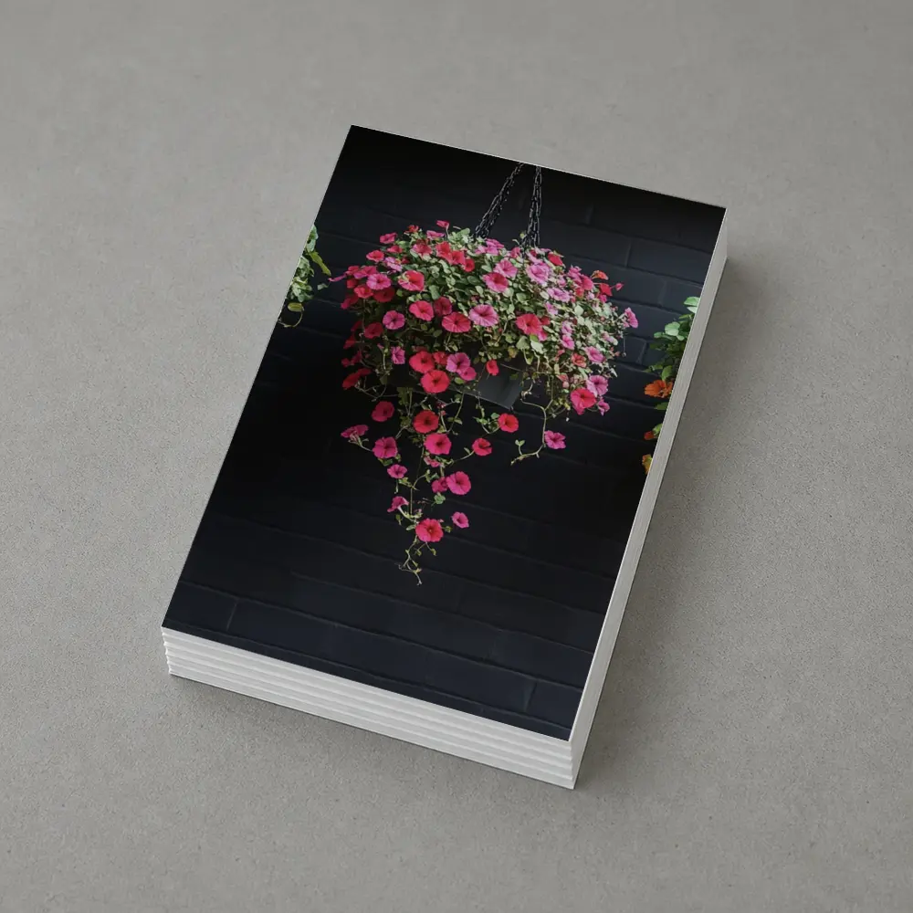 Hanging Petunia Baskets Against Dark Brick Wall – Postcards