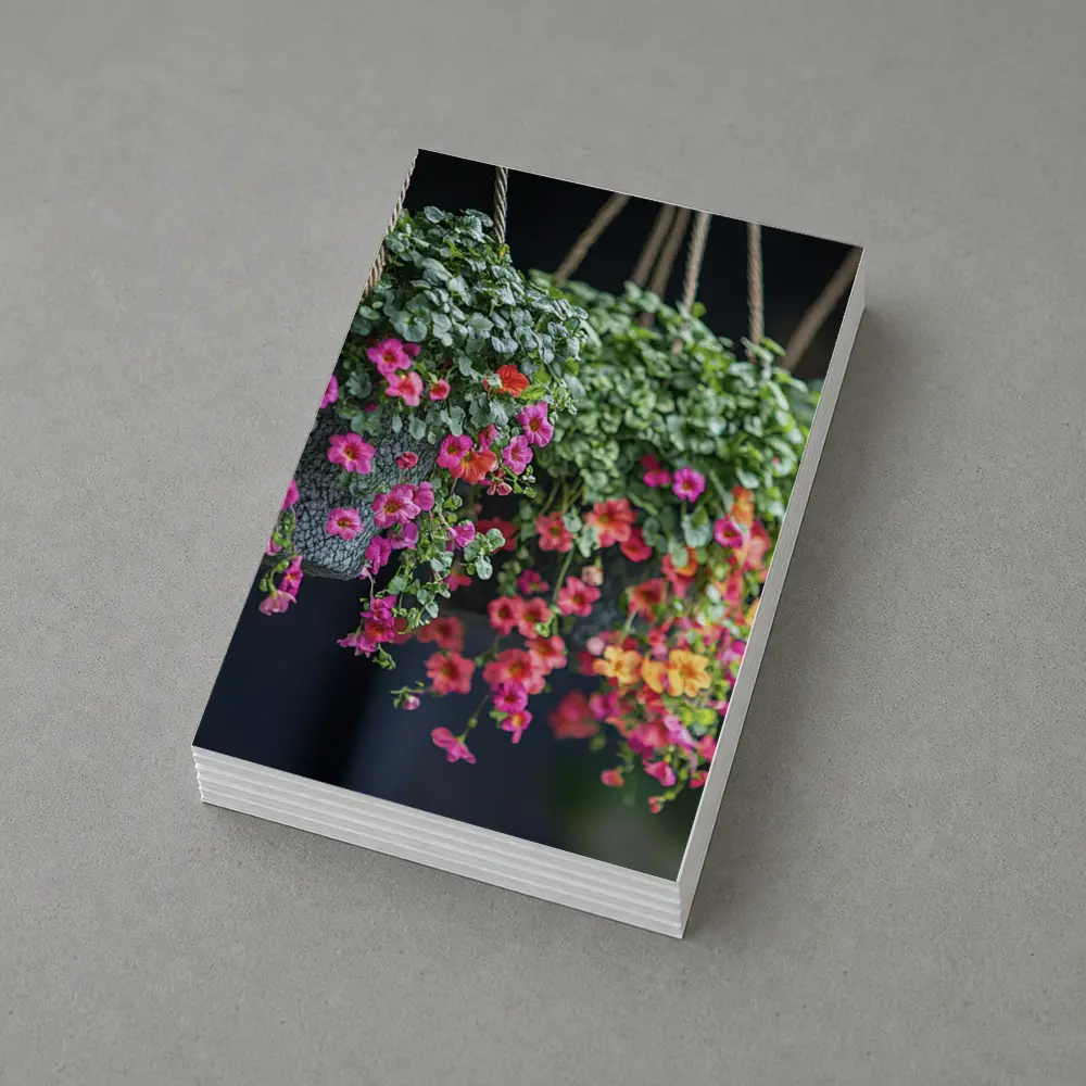 Pink Calibrachoa Flowers Hanging Basket Garden – Postcards
