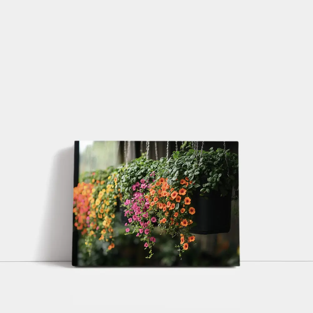 Hanging Basket Petunias Orange Pink Green – Wall Art