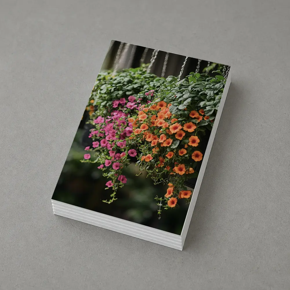 Hanging Basket Petunias Orange Pink Green – Postcards