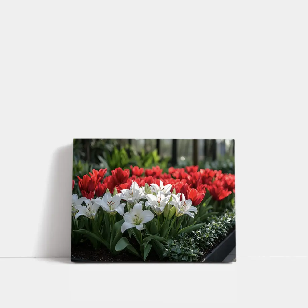 White Lilies Red Tulips Garden Flower Bed – Wall Art