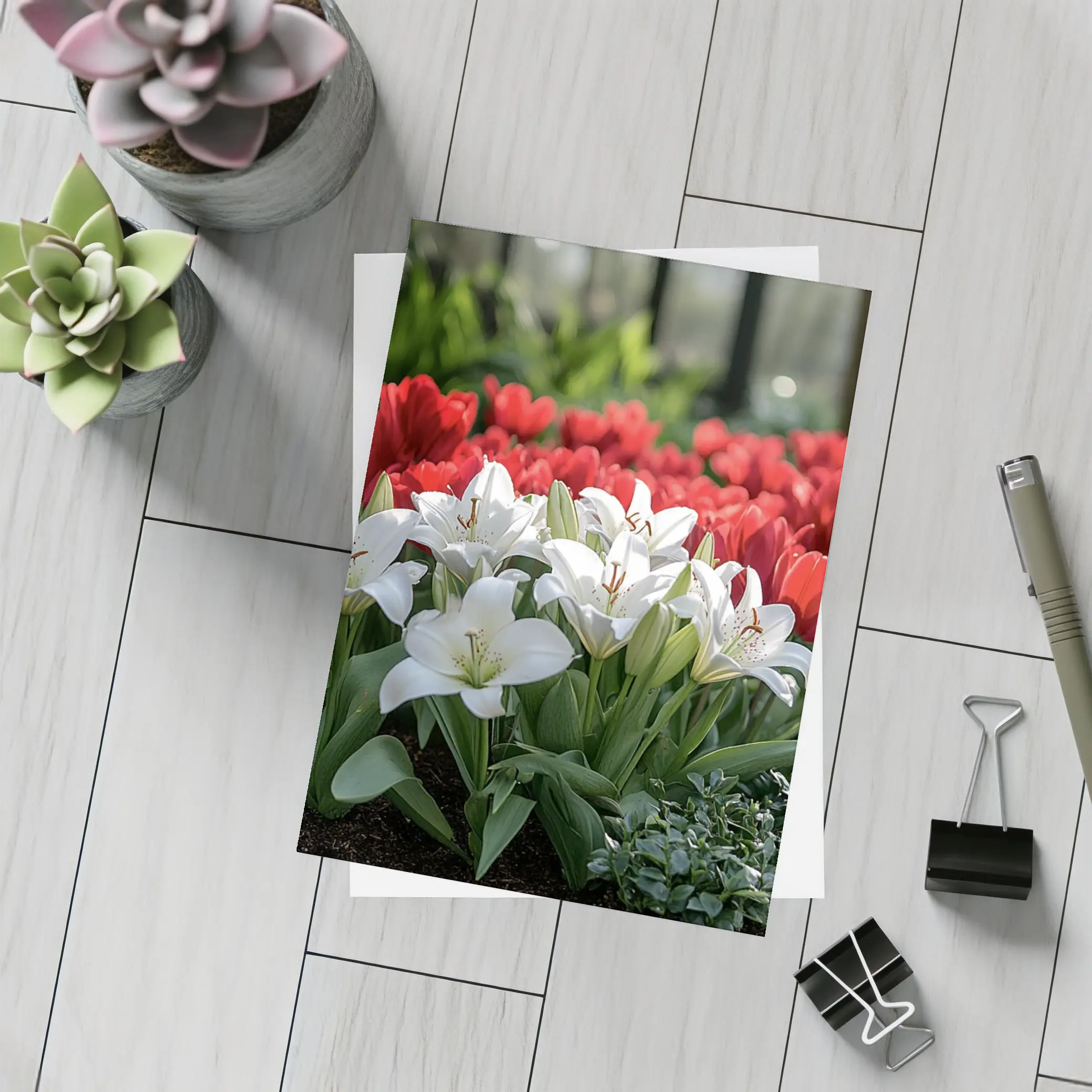 White Lilies Red Tulips Garden Flower Bed – Postcards