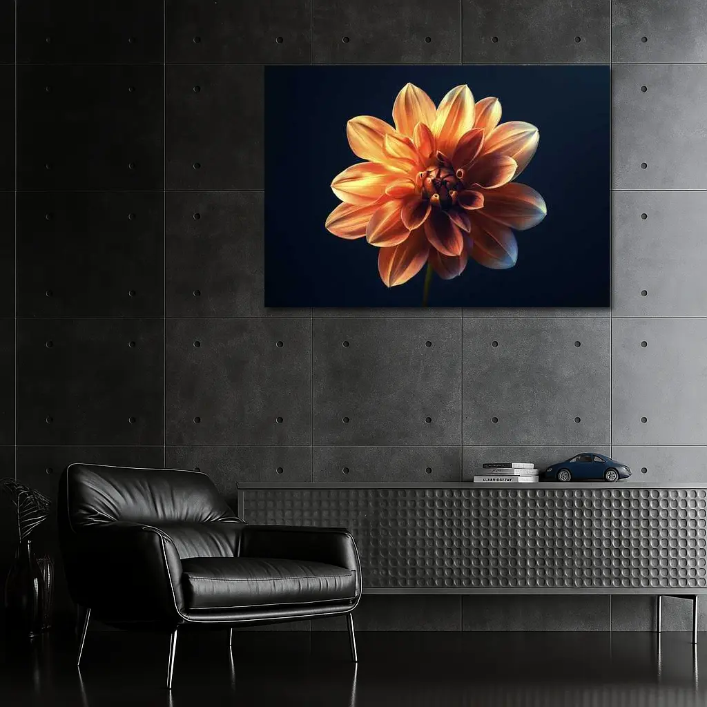 Orange Dahlia Flower Dark Blue Background – Wall Art