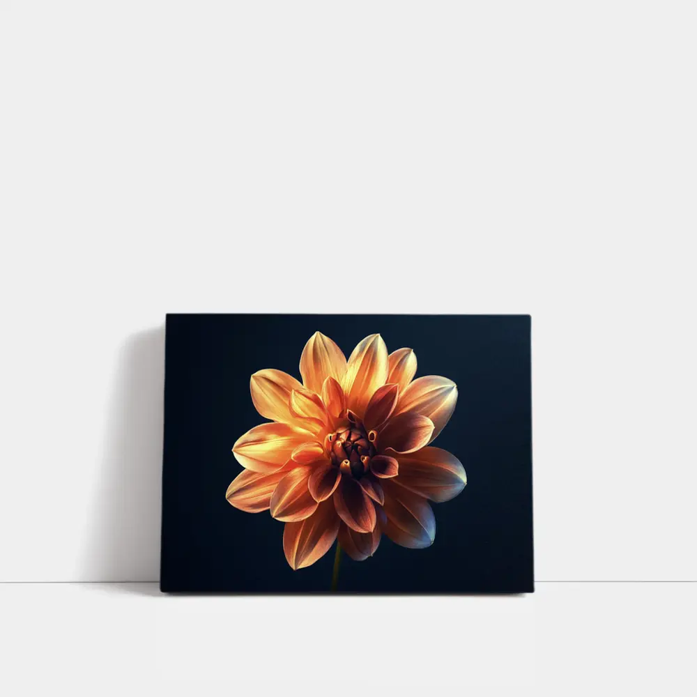 Orange Dahlia Flower Dark Blue Background – Wall Art