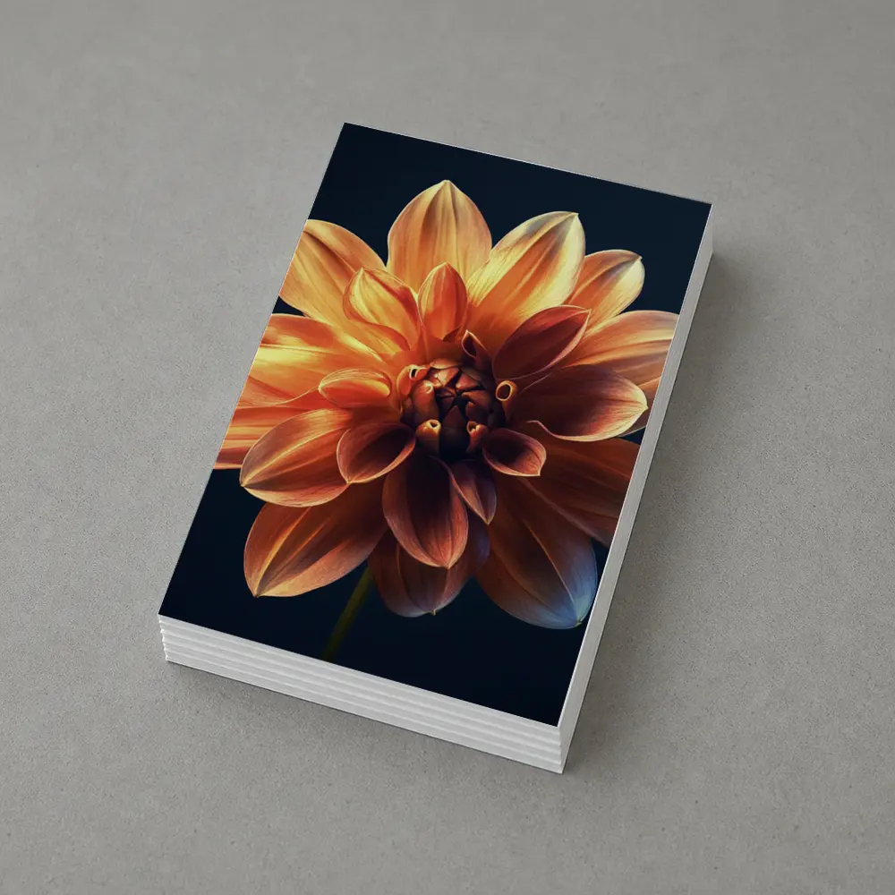 Orange Dahlia Flower Dark Blue Background – Postcards